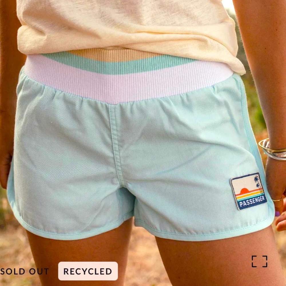 PASSENGER Clothing Explore All Purpose Shorts in Blue Coral sz L